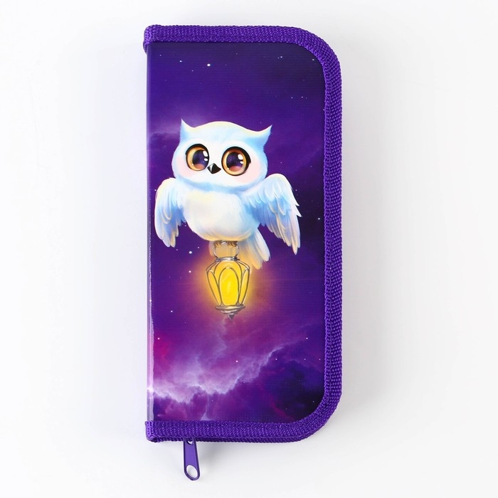 Пенал школьный 1 секция 90 х 190 лам.карт ПО-03 «1 сентября: Совушка» Пенал школьный 1 секция 90 х 190 лам.карт ПО-03 «1 сентября: Совушка»