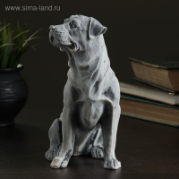 Сувенир "Ротвейлер (большой)" 19,5см