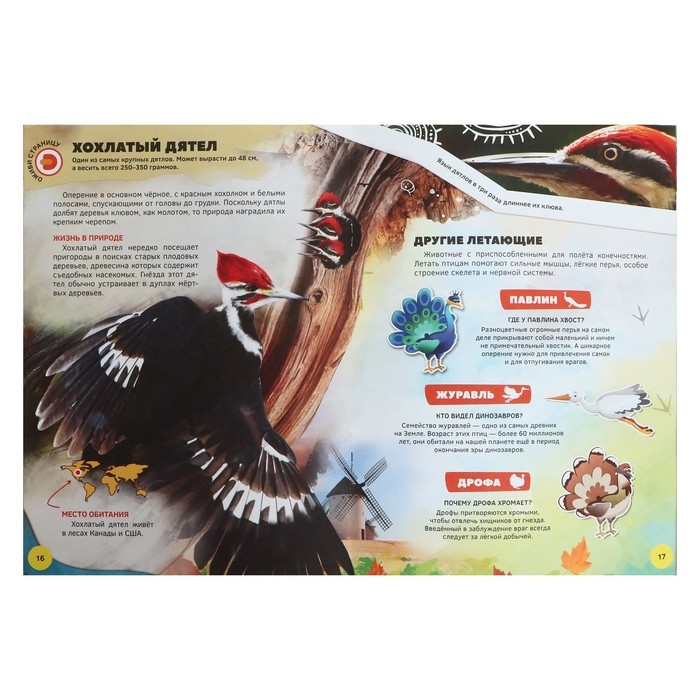 Энциклопедия 4D в дополненной реальности &laquo;Знакомство с животными&raquo;