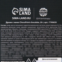 Новый год! Драже шоколадное &laquo;Новый год: Пульт управления новым годом&raquo;, 20 г.