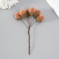 Цветы для декорирования "Хлопчик" бежевый 1 букет= 6 веточек d=2 см 11 см Цветы для декорирования "Хлопчик" бежевый 1 букет= 6 веточек d=2 см 11 см