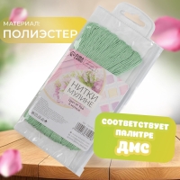 Набор ниток мулине №966, 8 ± 1 м, 6 шт, цвет нежно-зелёный Набор ниток мулине №966, 8 ± 1 м, 6 шт, цвет нежно-зелёный