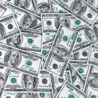 Постельное бельё &laquo;Этель&raquo; евро Cash 200х217 см, 220х240 см, 70х70 см -2 шт, бязь 125 г/м2