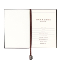 Ежедневник недатированный, формат А6+,116 листов, клетка, ЛАЙТ Коричневый, тониров. срез Ежедневник недатированный, формат А6+,116 листов, клетка, ЛАЙТ Коричневый, тониров. срез