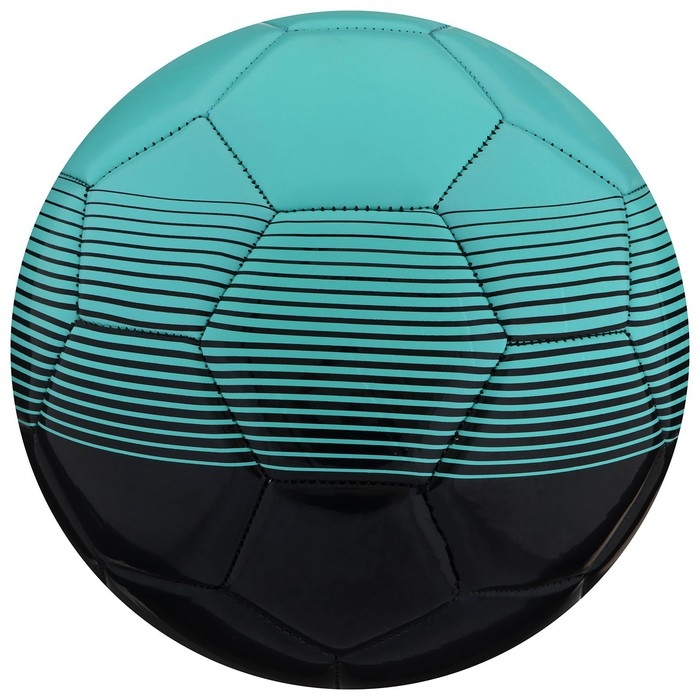 Футбольный мяч MINSA, машинная сшивка, 32 панели, р. 5, TPU Футбольный мяч MINSA, машинная сшивка, 32 панели, р. 5, TPU