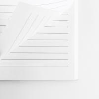 Ежедневник А5, 80 л. Тонкая обложка &laquo;Много котов&raquo;