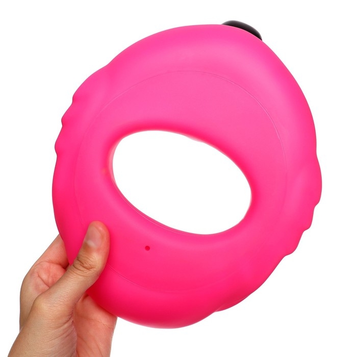 Набор резиновых игрушек для ванны &laquo;Фламинго.Уточка&raquo;, 2 шт, с пищалкой, виды МИКС, Крошка Я