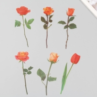 Наклейки пластик "Цветы и цитаты. Желто-оранжевые" набор 12 шт 8,5х21,5х0,2 см