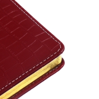 Ежедневник датированный 2025 B6 168 листов, deVENTE. Wild, твердая обложка кожзам с поролоном, перфорация, ляссе, блок 70, бордо Ежедневник датированный 2025 B6 168 листов, deVENTE. Wild, твердая обложка кожзам с поролоном, перфорация, ляссе, блок 70, бордо