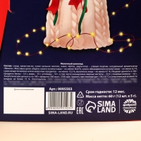 Адвент календарь «Счастливого года», 12 шт. по 5 г. Адвент календарь «Счастливого года», 12 шт. по 5 г.