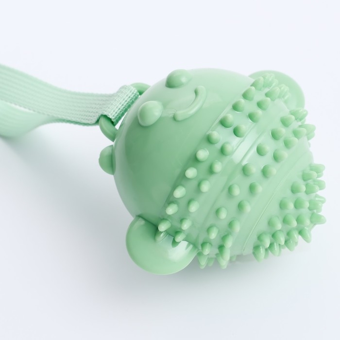 Игрушка массажная для собак Игрушка массажная для собак "Монстр" 12 см, ТПР, микс цветов