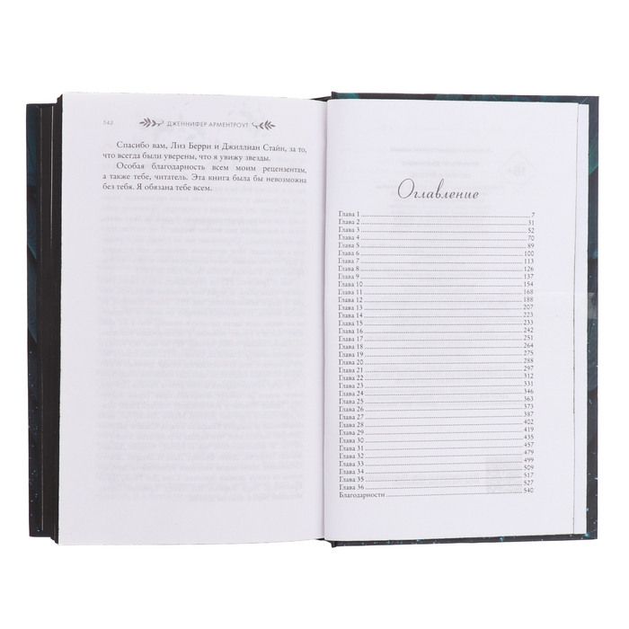 Шторм и ярость. Арментроут Дж. Шторм и ярость. Арментроут Дж.