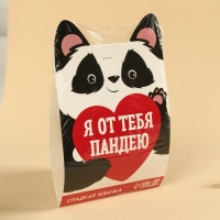 Жевательная резинка &laquo;Я от тебя пандею&raquo;, вкус: тутти-фрутти, 50 г.