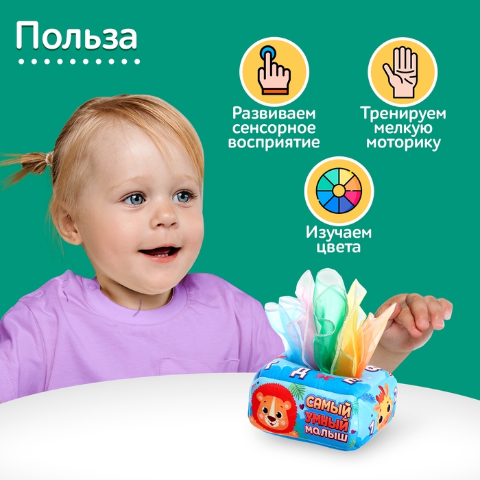 Сортер &laquo;Самый умный малыш&raquo;