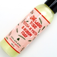 Гель для душа &laquo;Тепла и уюта в Новом Году!&raquo;, 100 мл, аромат пряного цитруса, ЧИСТОЕ СЧАСТЬЕ