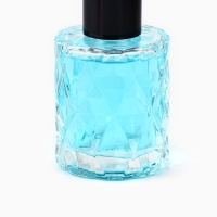 Аромадиффузор ароматический палочки &laquo;Новогодняя коллекция&raquo;,аромат свежести, 50 мл