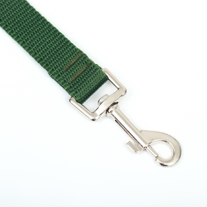 Поводок 1,2 м х 2 см, зелёный Поводок 1,2 м х 2 см, зелёный