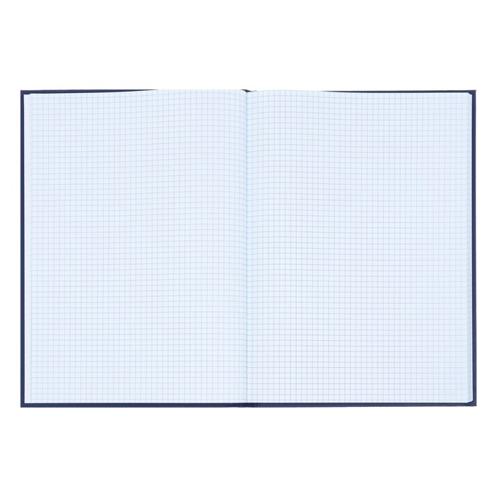 Книга учета, 96 листов, обложка бумвинил, блок ОФСЕТ, клетка, цвет синий Книга учета, 96 листов, обложка бумвинил, блок ОФСЕТ, клетка, цвет синий