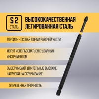 Бита ТУНДРА ПРОФИ, Torsion, сталь S2, PH2 х 150 мм, пвх-чехол Бита ТУНДРА ПРОФИ, Torsion, сталь S2, PH2 х 150 мм, пвх-чехол