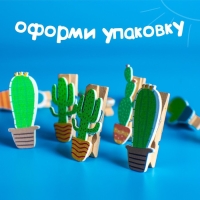 Набор декоративных прищепок "Кактусы" 1&times;12&times;13 см