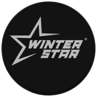 Шайба хоккейная Winter Star, детская, d=6 см Шайба хоккейная Winter Star, детская, d=6 см
