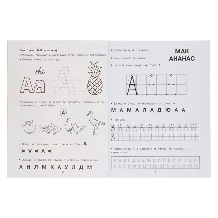 Обучающая книга &laquo;Знакомимся с буквами. Готовимся к школе&raquo;