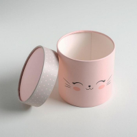 Набор коробок из тонкого картона 4 в 1, упаковка подарочная, &laquo;Мордочки&raquo;, 12 х 12 - 20 х 20 см