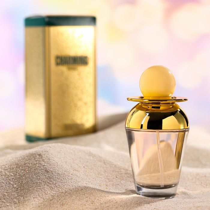 Туалетная вода женская CHARMING PARIS, 100 мл Туалетная вода женская CHARMING PARIS, 100 мл