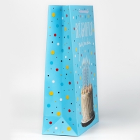 Пакет ламинированный &laquo;Загадывай&raquo;, L 31 х 40 х 11,5 см