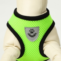 Комплект амуниции с мягкой шлейкой и светоотражающей нашивкой, M, ОШ 26 см, ОГ 36-44 см, зелёный Комплект амуниции с мягкой шлейкой и светоотражающей нашивкой, M, ОШ 26 см, ОГ 36-44 см, зелёный