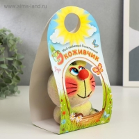 Растущий подарок травка Экоживчик "Котик" Растущий подарок травка Экоживчик "Котик"