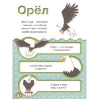 Карточки с дополненной реальностью &laquo;Животные 4D&raquo;