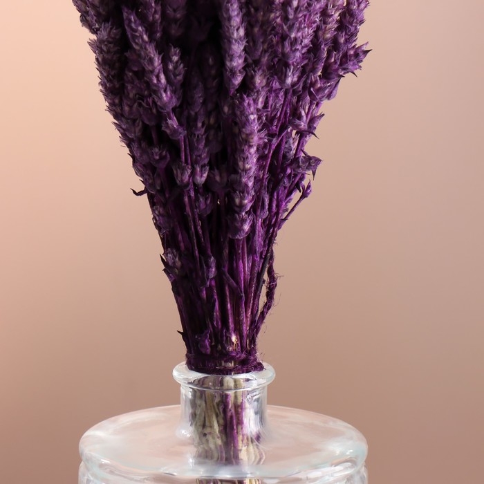 Набор сухоцветов "Железница", банч длина 35 (+/- 6 см), сливовый