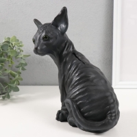 Копилка "Котенок Сфинкс" 22 х 10 х 21 см. Копилка "Котенок Сфинкс" 22 х 10 х 21 см.