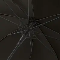 Зонт-трость Dublin, черный