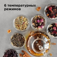 Чайник электрический REDMOND RK-G1308D, стекло, 1.7 л, 1500 Вт, регулировка t°, чёрный Чайник электрический REDMOND RK-G1308D, стекло, 1.7 л, 1500 Вт, регулировка t°, чёрный