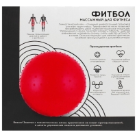 Фитбол ONLYTOP, d=55 см, 800 г, массажный, цвета МИКС Фитбол ONLYTOP, d=55 см, 800 г, массажный, цвета МИКС