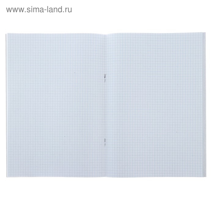 Тетрадь А4, 48 листов в клетку Тетрадь А4, 48 листов в клетку "Город", обложка мелованный картон, блок №2, белизна 75%, (серые листы)
