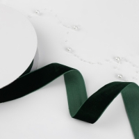 Лента бархатная, 25 мм, 18 ± 1 м, цвет зелёный №165 Лента бархатная, 25 мм, 18 ± 1 м, цвет зелёный №165