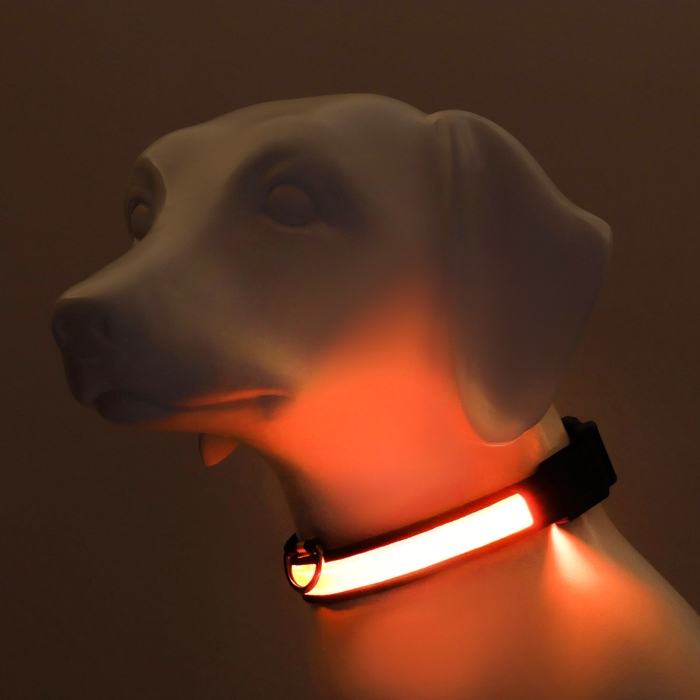 Ошейник с подсветкой Flash 3 режима свечения, размер XL, ОШ 52-60 х 2,5 см жёлтый