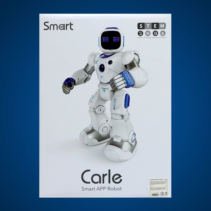 Робот &laquo;Карл&raquo;, на радиоуправлении, интерактивный, световые, звуковые эффекты, работает от аккумулятора