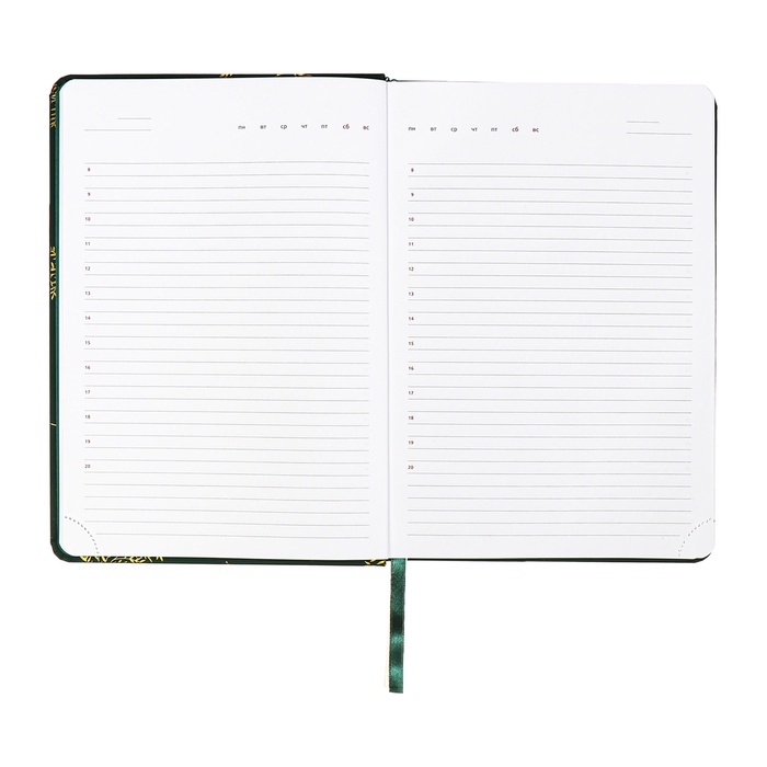 Ежедневник недатированный, A5, 136 листов, кожзам, deVENTE. Tropicana, твердая обложка, тиснение фольгой, перфорация, ляссе, блок 70%, темно-зеленый