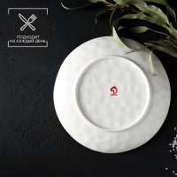 Тарелка фарфоровая Доляна «Космос», d=21,2 см, цвет белый Тарелка фарфоровая Доляна «Космос», d=21,2 см, цвет белый