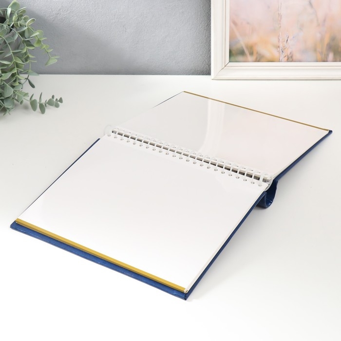 Фотоальбом на 20 магнитных листов 23х28 см, винил. обложка, внутр. спираль "Classique" Синий