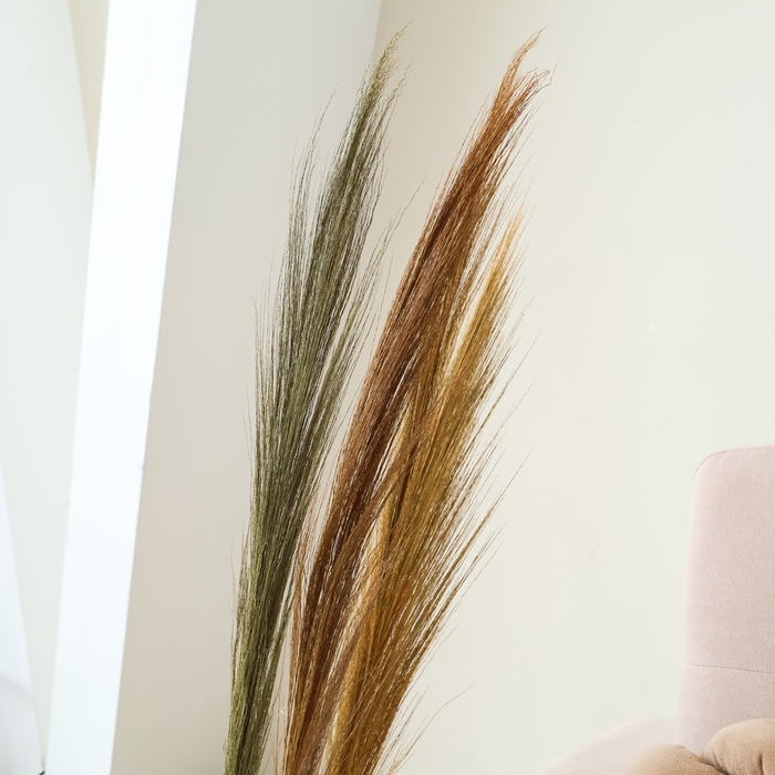 Сухоцветы для декора &laquo;Камыш&raquo;, набор 5 шт. 113 &times; 5 &times; 5 см