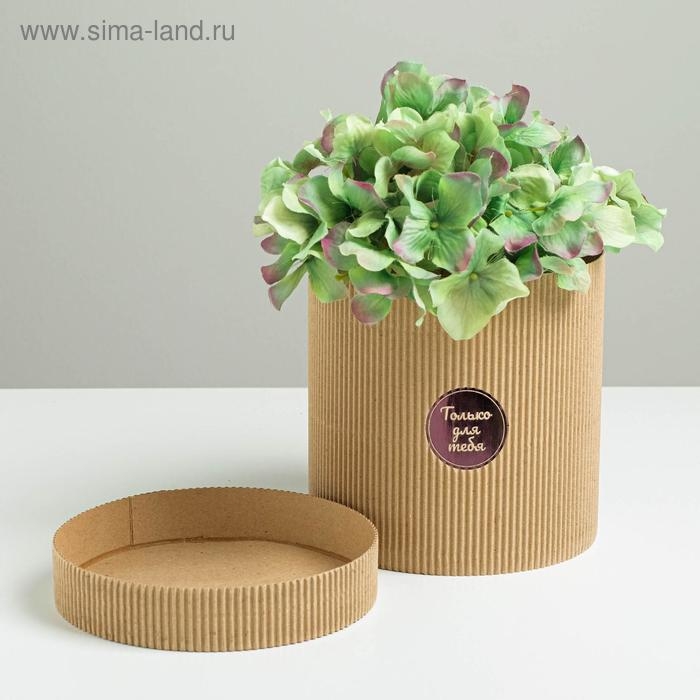 Коробка подарочная шляпная из микрогофры, упаковка, «Только для тебя», 15 х 15 см Коробка подарочная шляпная из микрогофры, упаковка, «Только для тебя», 15 х 15 см