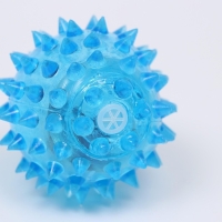 Мяч светящийся для собак средний, TPR, 5,5 см, голубой Мяч светящийся для собак средний, TPR, 5,5 см, голубой