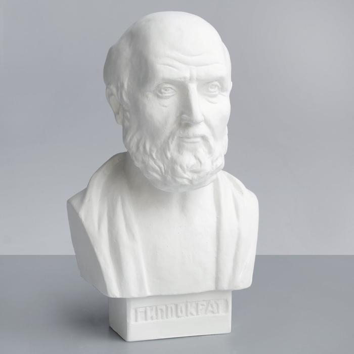 Гипсовая фигура известные люди: Бюст Гиппократа, 12 x 10 x 20 см Гипсовая фигура известные люди: Бюст Гиппократа, 12 x 10 x 20 см