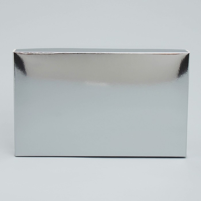 Коробка кондитерская «Серебристая», 22 х 8 х 13.5 см Коробка кондитерская «Серебристая», 22 х 8 х 13.5 см