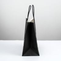 Пакет подарочный, упаковка, &laquo;Хуже уже некуда&raquo;, 22 х 22 х 11 см